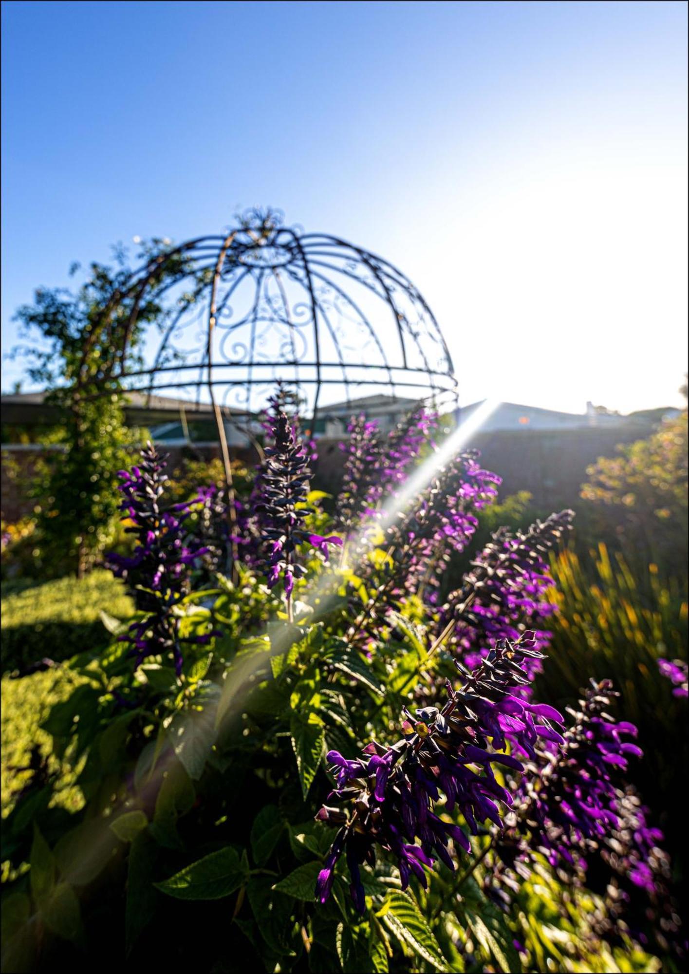 Pelicans Nest In Onrus Villa Hermanus Exterior photo